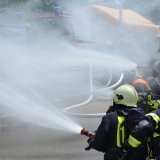 Les pompiers ont rapidement éteint les flammes (image d'illustration)